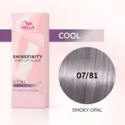 ShineF 07/81 60ml