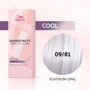 ShineF 09/81 60ml