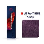 KP VIBRANT REDS 55/66