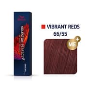 KP VIBRANT REDS 66/55