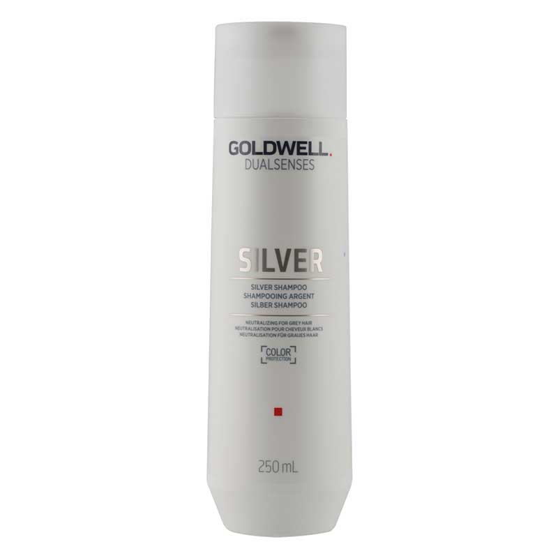 DUALSENSES Silver Silber Shampoo 250 ml