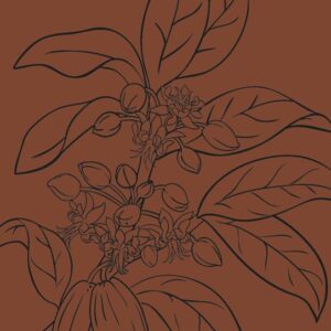 Colour Nutri Mask Tasty Cocoa 75 ml