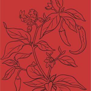 Colour Nutri Mask Spicy Cayenne 75 ml