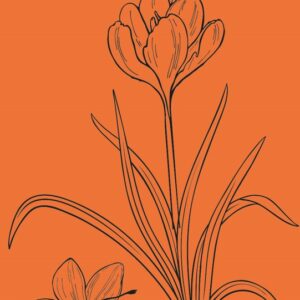 Colour Nutri Mask Intense Saffron 75 ml
